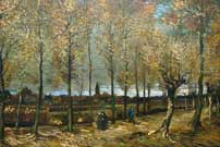 
Poplars by Neunen

